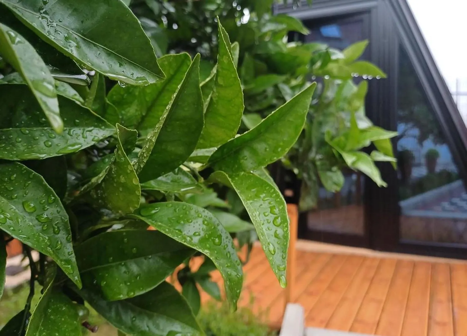 بيت للعطل Guest House Adilaj بيرات ألبانيا